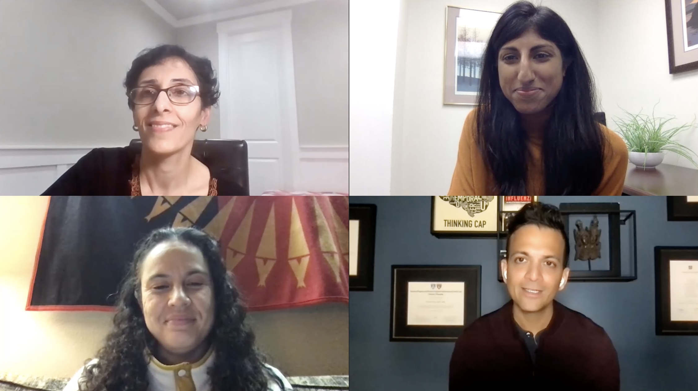 Screenshot of participants in the zoom webinar