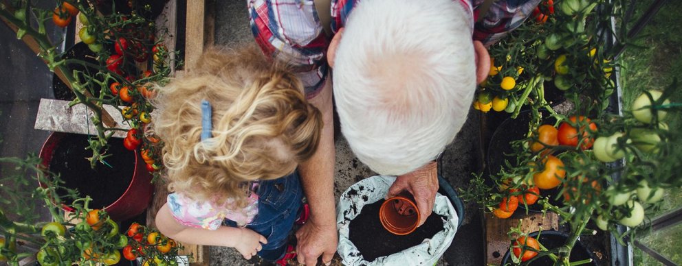 grandmother and granddaughter in garden