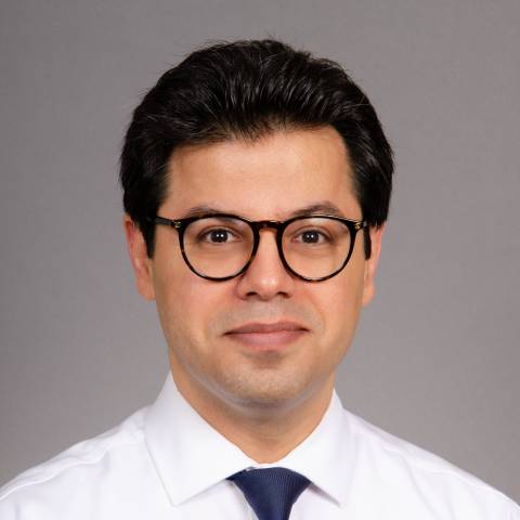 Provider headshot ofMajid Chalian, MD